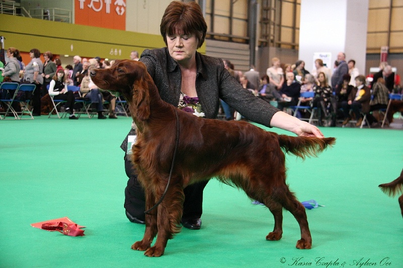 Crufts2011 153.jpg